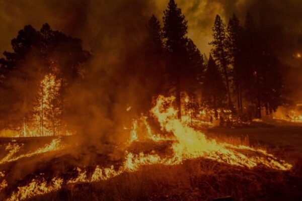 Wildfire Across North America