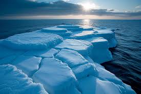 Antarctic Cold 2023