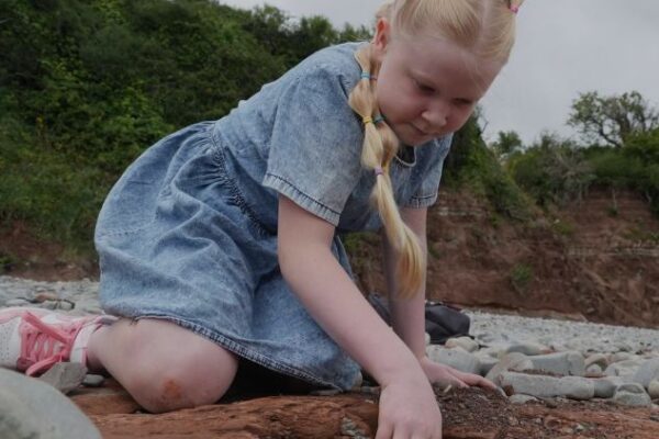 Girl Finds Dinosaur Footprints