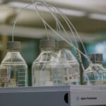 Impact of Forever Chemicals on Health: New Research Insights