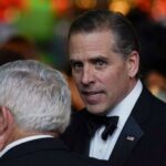 Hunter Biden Plea Update