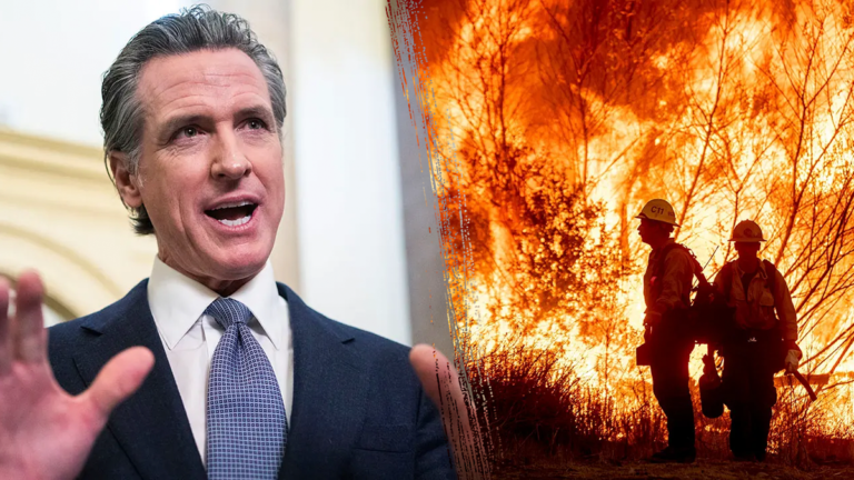 newsom fire Gov. Gavin Newsom signs new executive order to help Los Angeles rebuild faster